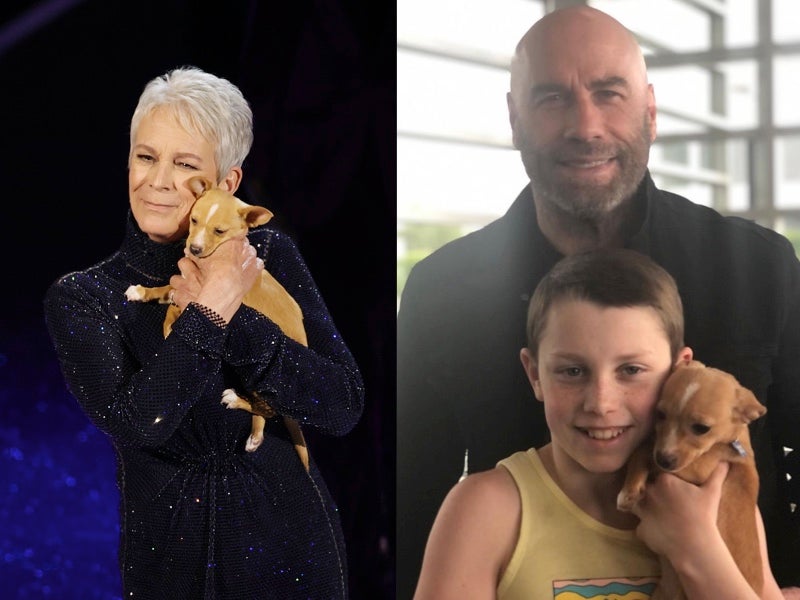 John Travolta reveals 11-year-old son adopted puppy Jamie Lee Curtis held at Oscars