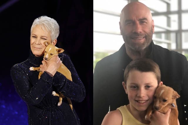 <p>John Travolta reveals 11-year-old son adopted puppy Jamie Lee Curtis held at Oscars</p>