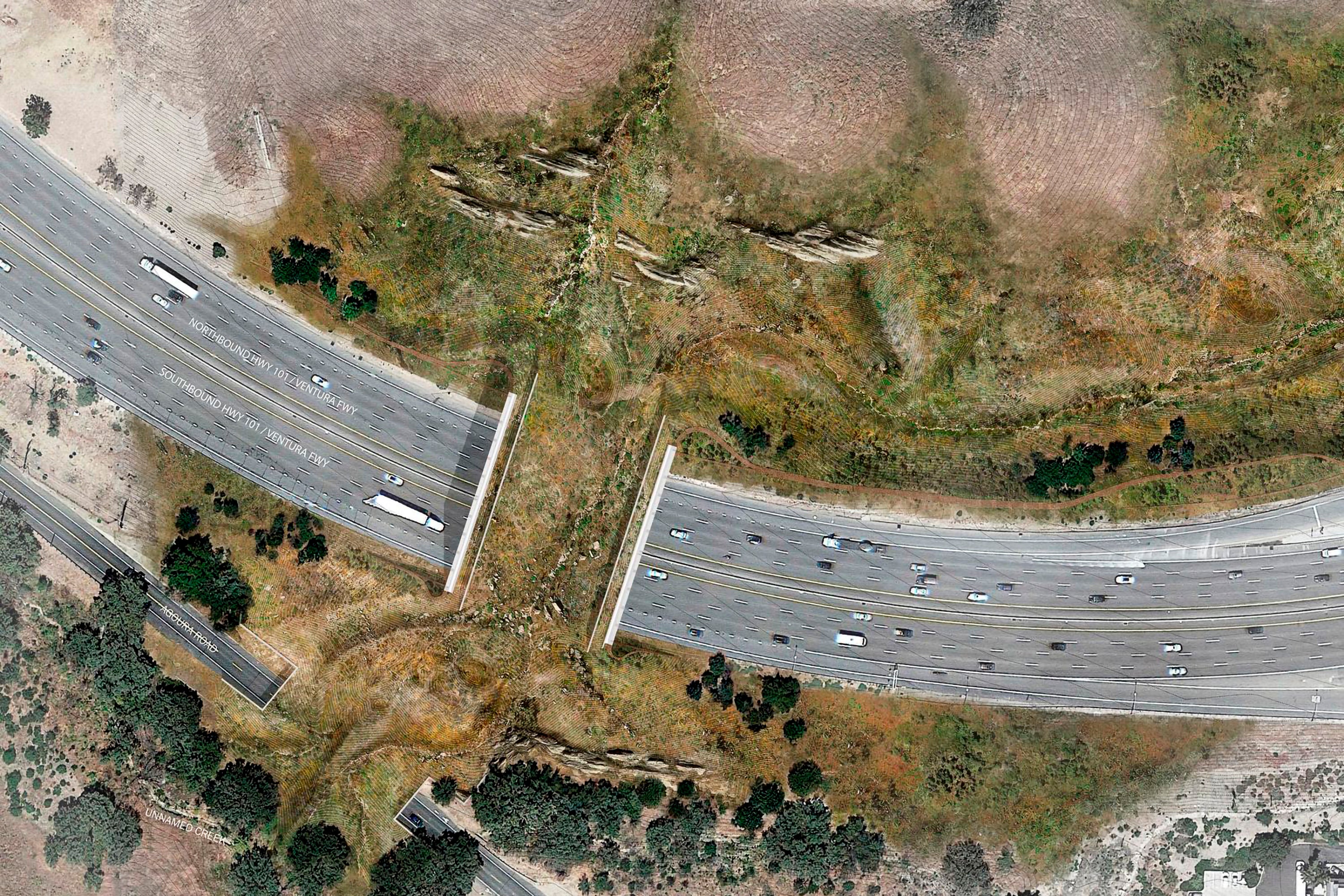 An illustration of the wildlife bridge crossing over US Highway 101 between two separate open space preserves on conservancy lands in the Santa Monica Mountains in Agoura Hills, California
