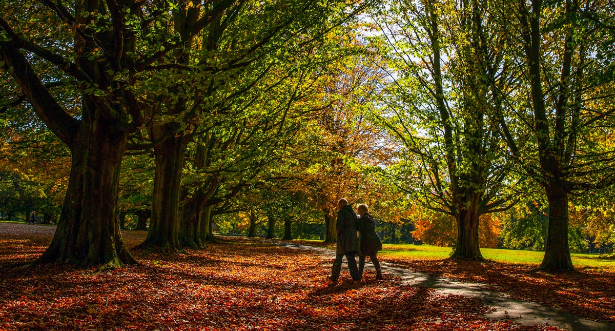 Two-thirds of those starting retirement in 2022 ‘plan to continue working’