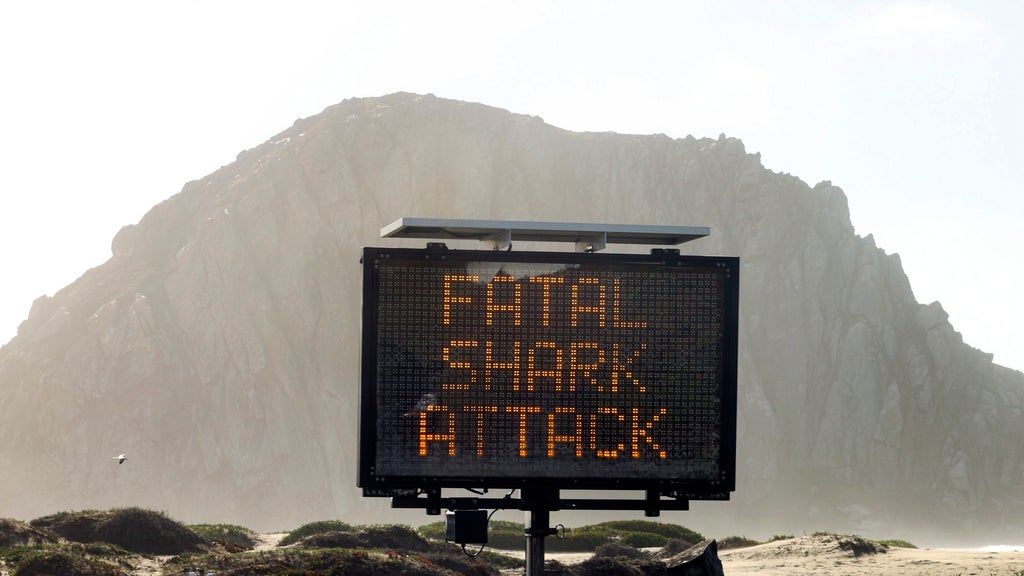 Report: Great white shark killed California bodyboarder
