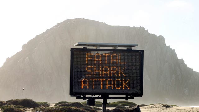 <p>A sign advises about a shark attack on Christmas Eve 2021 in Morro Bay, Calif. In reports cited 29 March 29 2022, authorities have concluded that a great white shark killed a bodyboarder.</p>