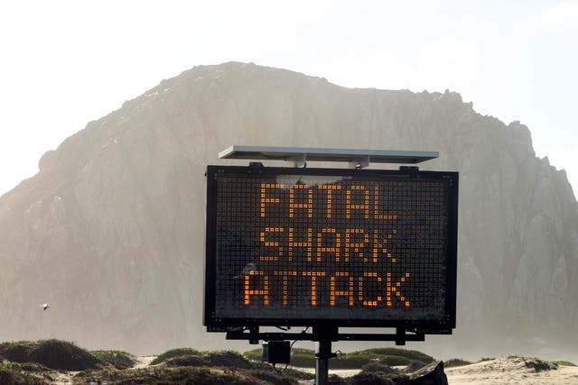 Fatal Shark Attack