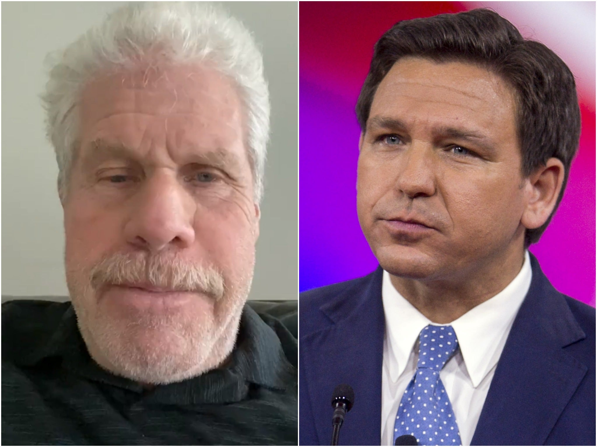 <p>Ron Perlman, Ron DeSantis</p>