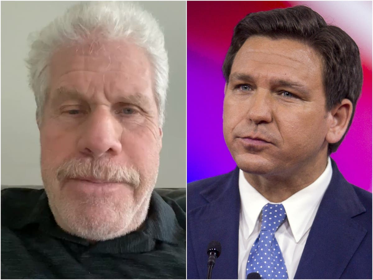 Ron Perlman tears into ‘f***ing Nazi pig’ Ron DeSantis for signing Don’t Say Gay bill