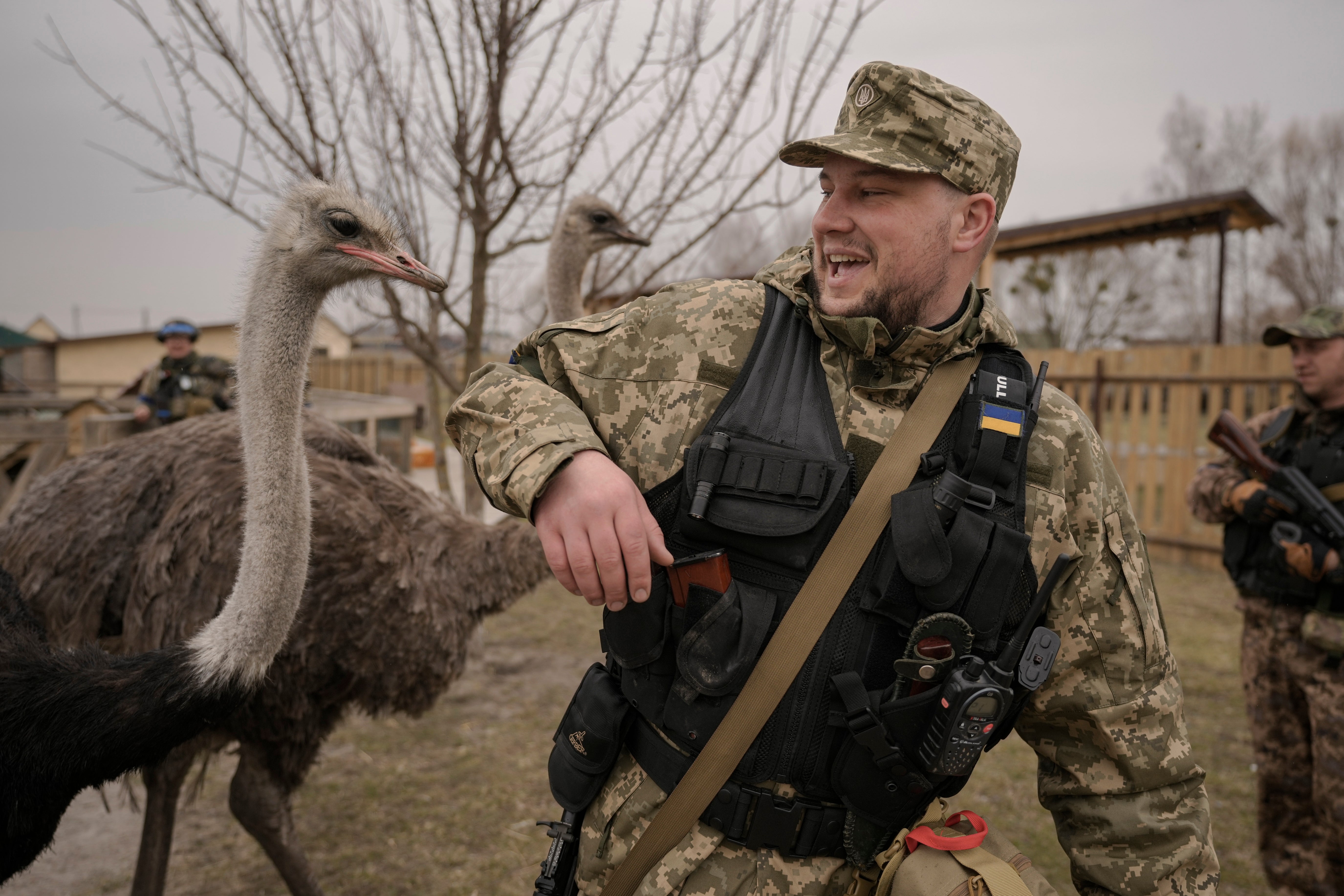 Russia Ukraine War Day In Photos