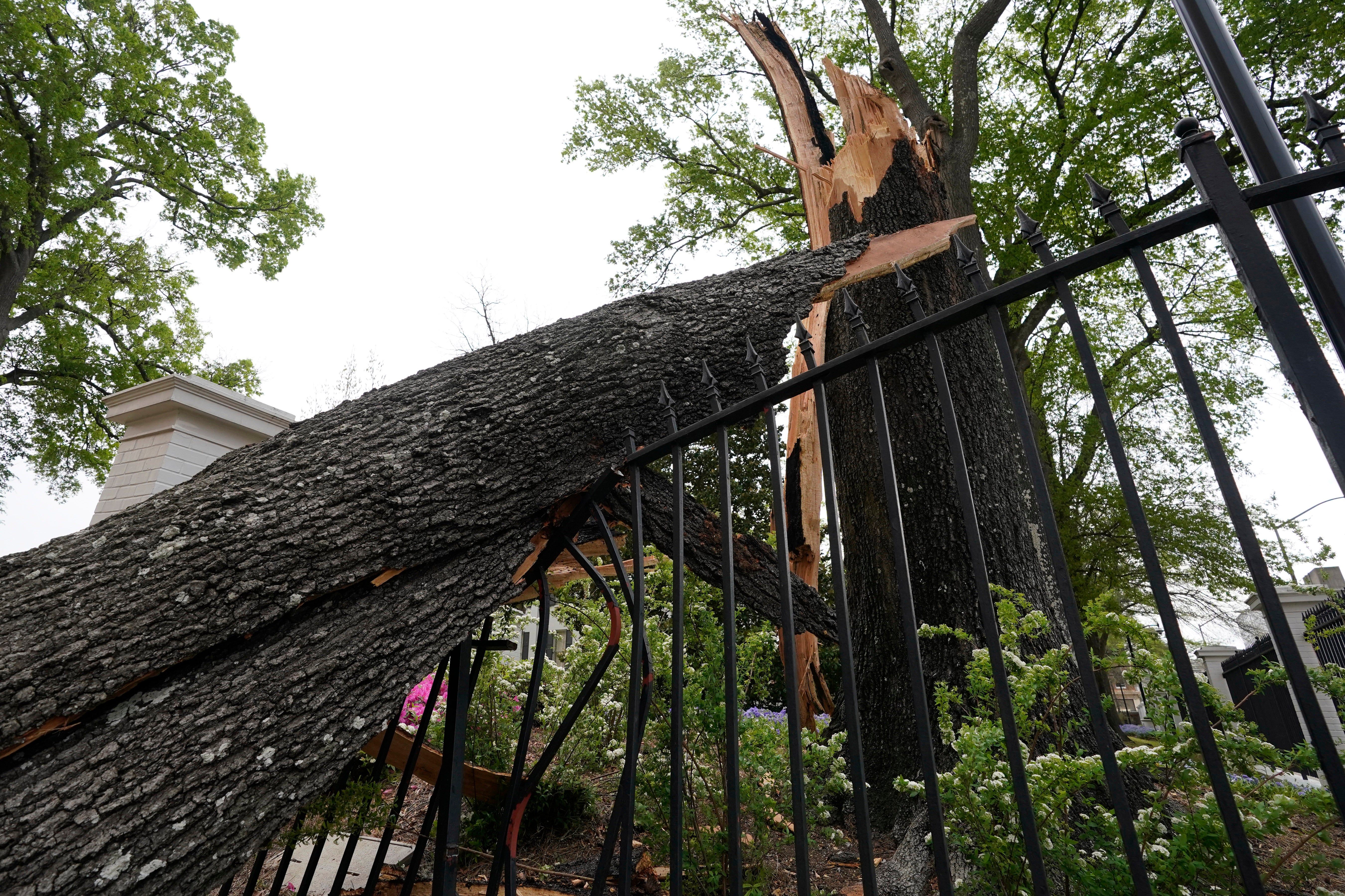 Severe Weather Mississippi