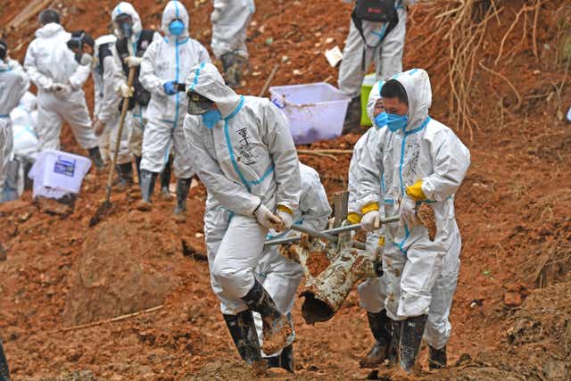 <p>Rescuers carry a piece of plane wreckage from the China Eastern flight crash site </p>