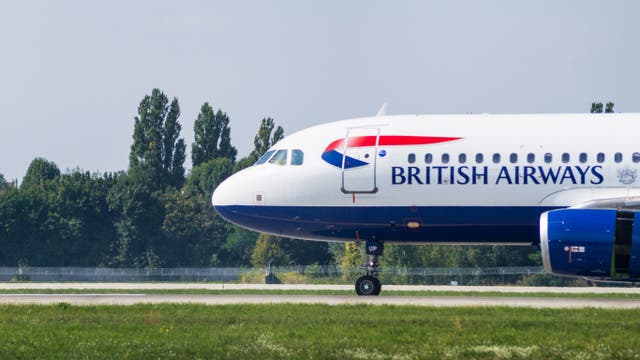 <p>The BA pilot lied about his experience  </p>