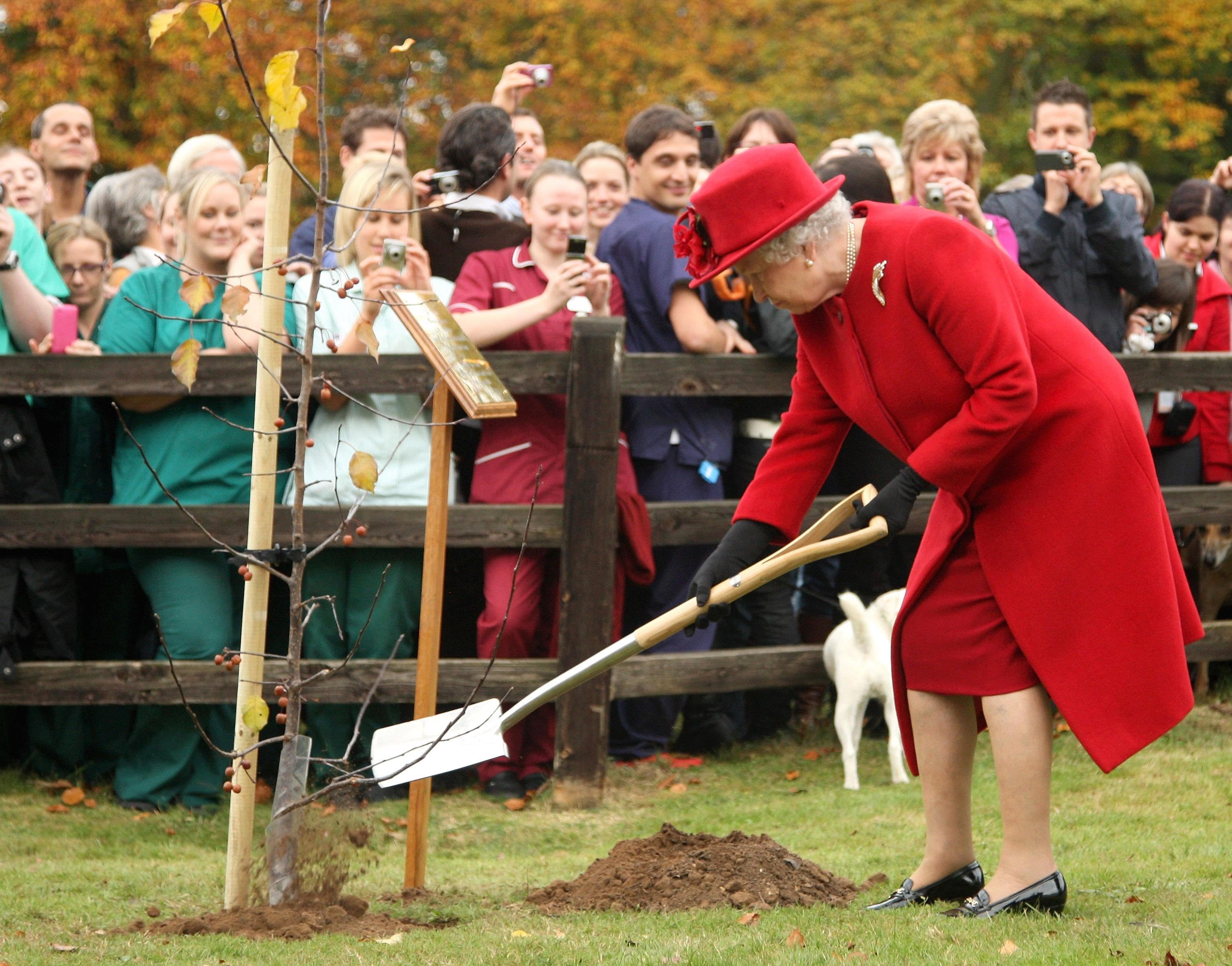 The Queen has sent a message of thanks to people across the country who have helped to plant more than a million trees to mark her Platinum Jubilee (Chris Jackson/PA)