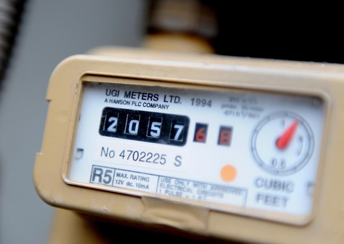 Energy bills - live: British Gas website crashes as 40,000 meter readings received an hour, says industry boss - The Independent