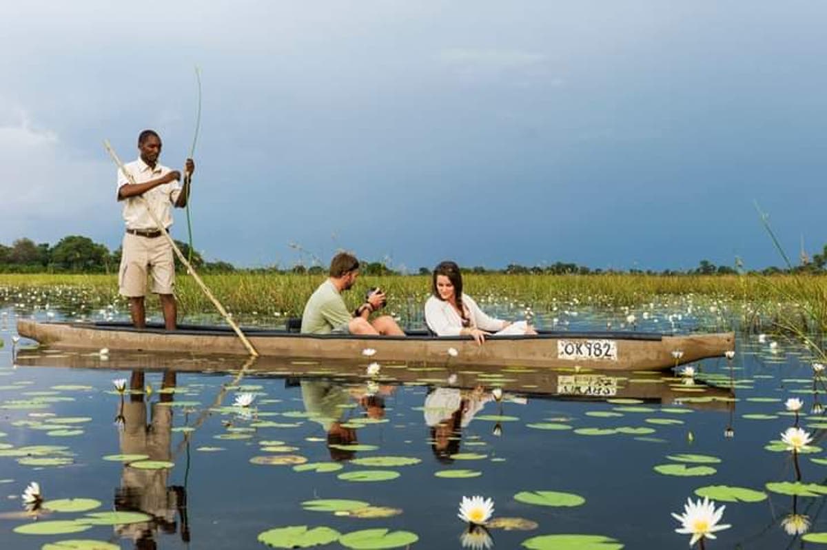 Drought and pandemic travel bans leave Okavango Delta canoe captains struggling to make a living
