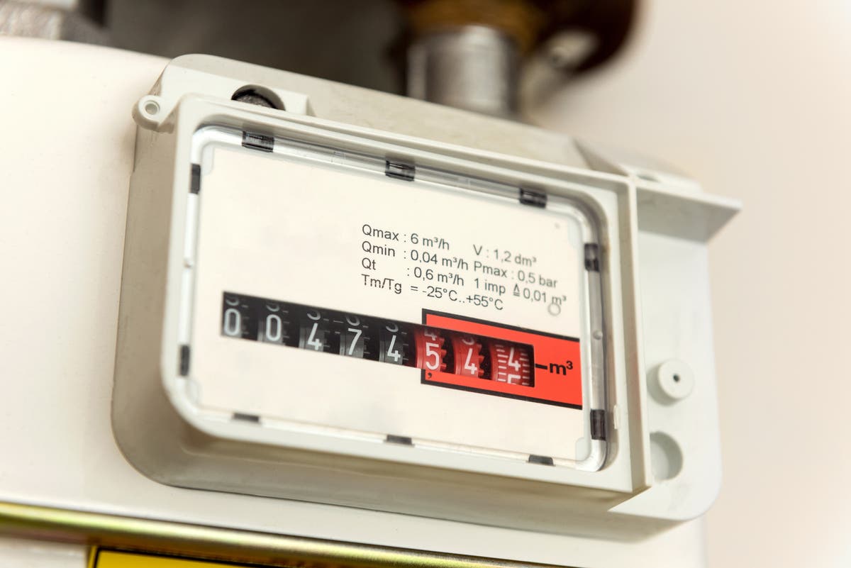 Pennenvriend einde Civiel Energy bills UK: How to read a gas or electricity meter and where to submit  your readings | The Independent