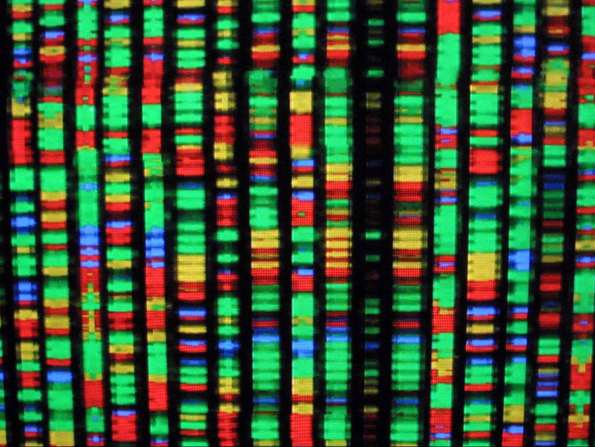 Misteri baru genom manusia digali setelah segmen yang hilang akhirnya diurutkan