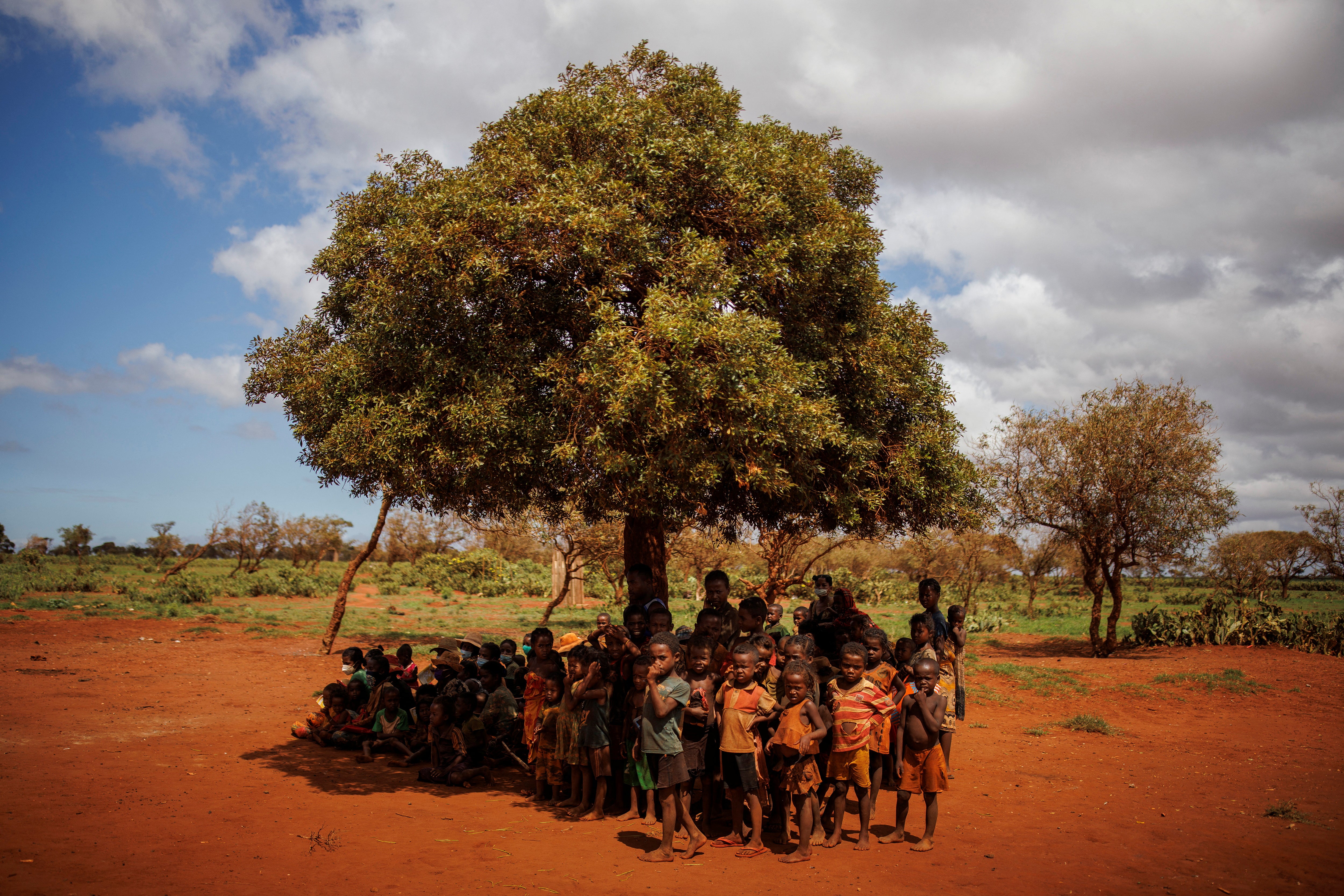 Children and their mothers sit under a tree as they wait to be examined at a children’s malnutrition post