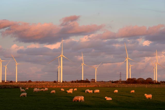 <p>Renewables accounted for 39.3% of total energy generation in 2021 (PA)</p>