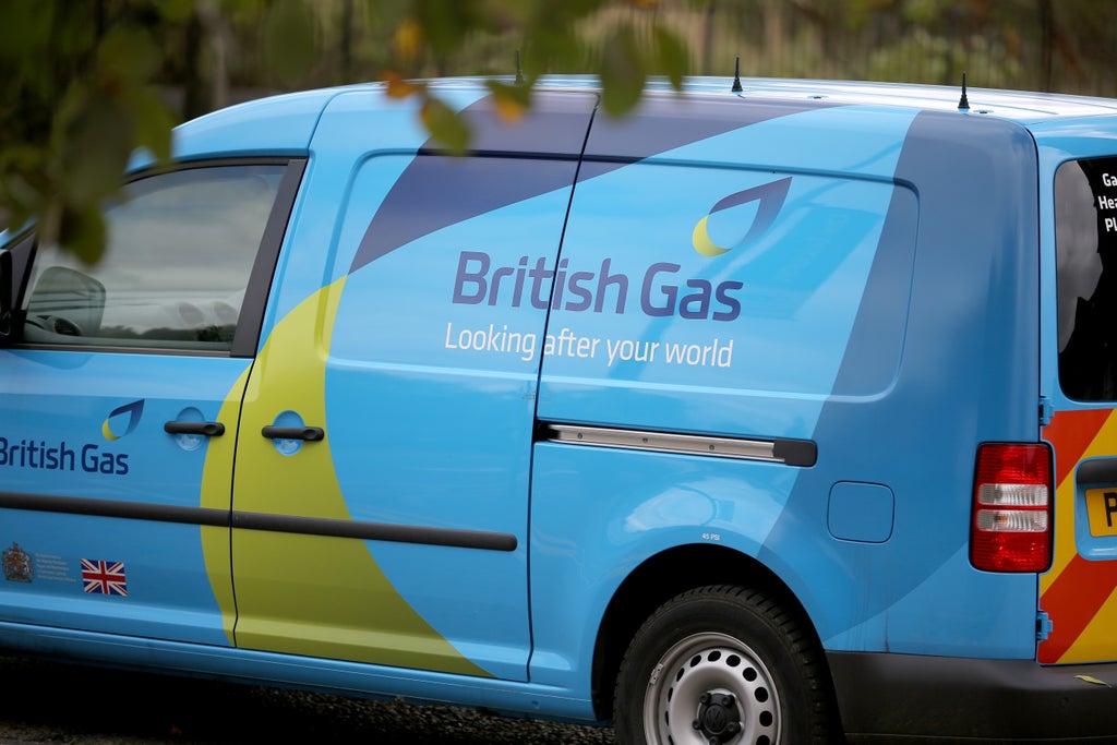 British Gas website goes down after customers submit meter readings – forcing company to send multiple texts
