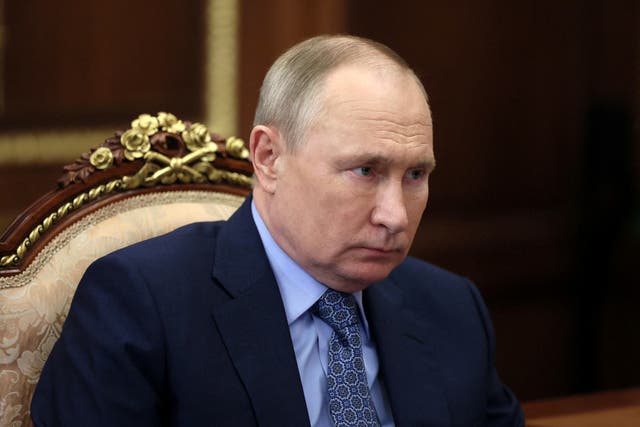 <p>Russian President Vladimir Putin</p>