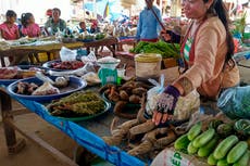 WWF report says online wildlife trade on rise in Myanmar