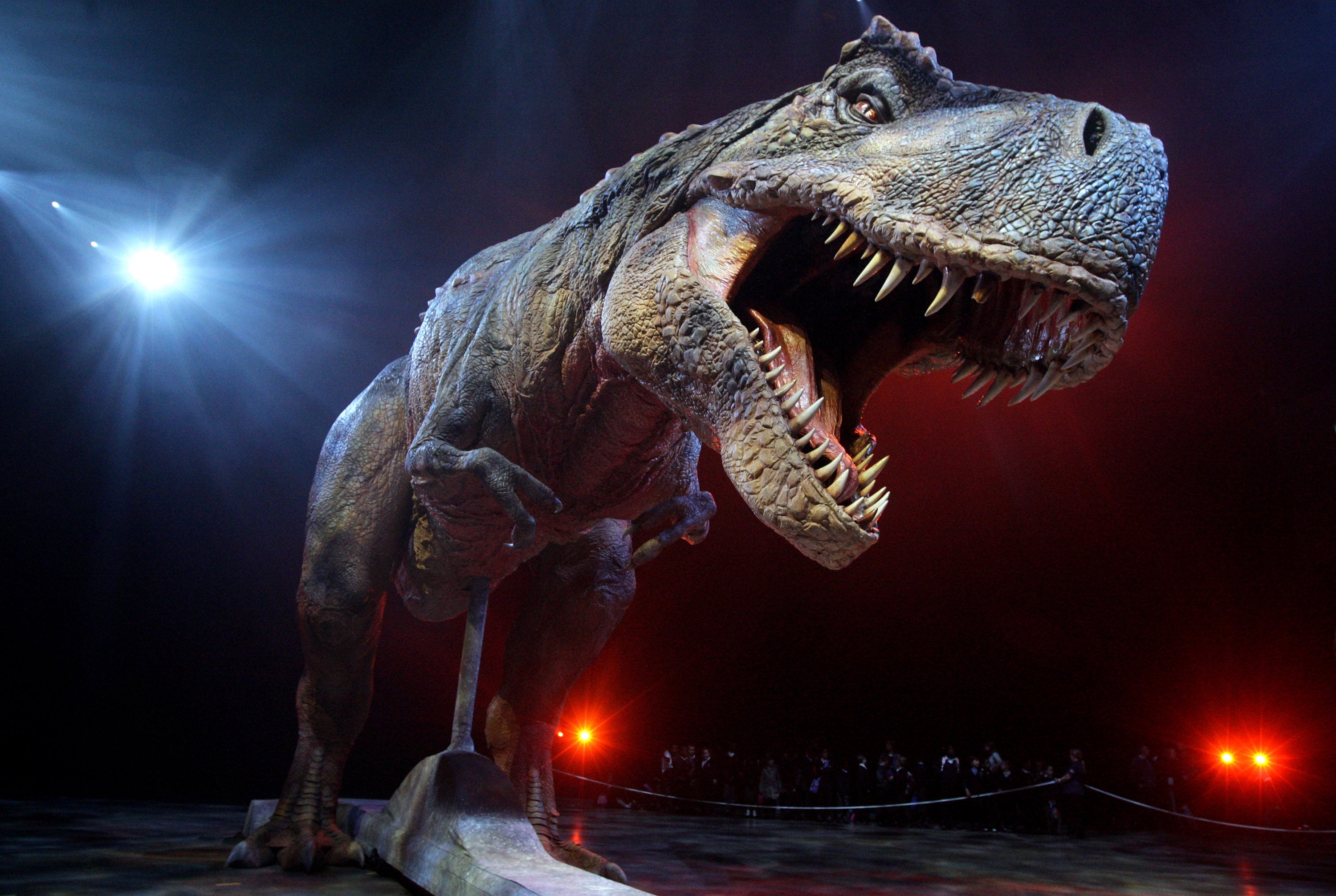 An adult Tyrannosaurs Rex robotic dinosaur performs in the O2 arena on 18 March 2009 in London