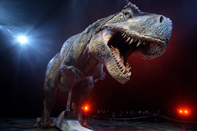 <p>An adult Tyrannosaurs Rex robotic dinosaur performs in the O2 arena on 18 March 2009 in London</p>
