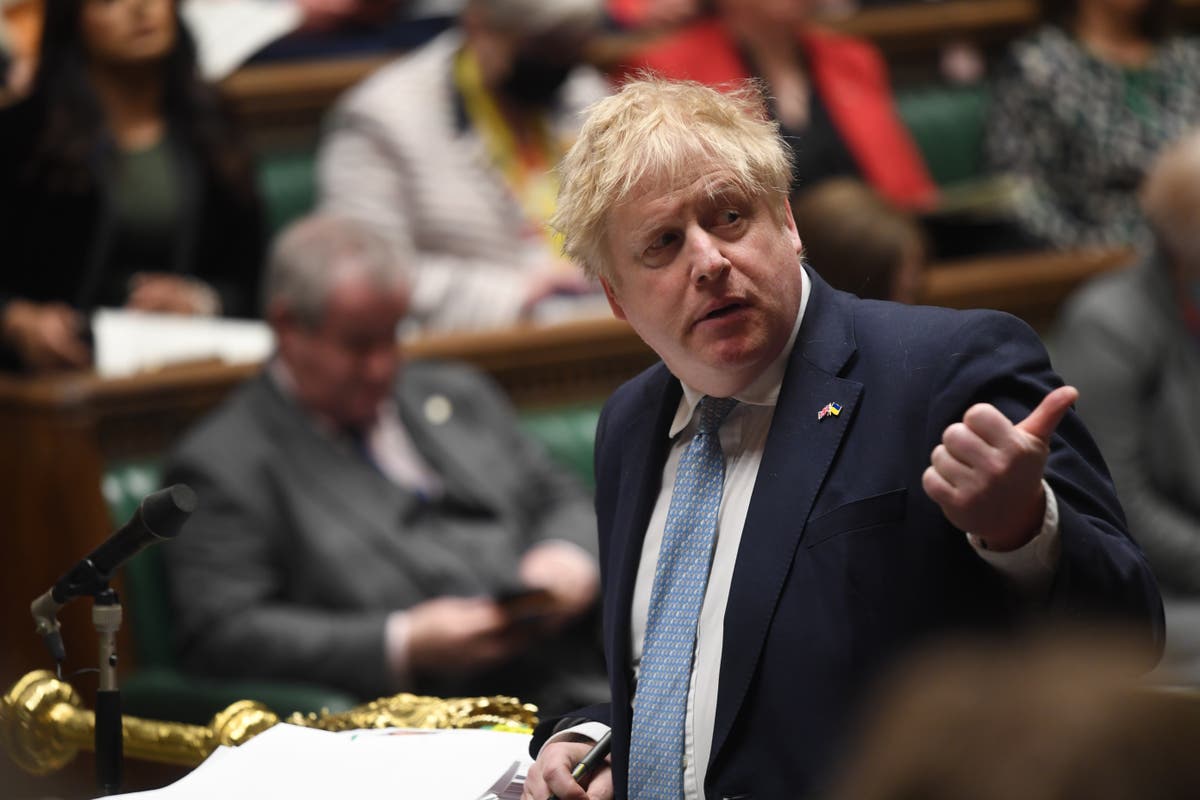 PM would probably reveal if he receives partygate fine, says policing minister