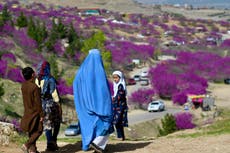 5 children ‘playing with unexploded mortar shell’ killed in Afghanistan