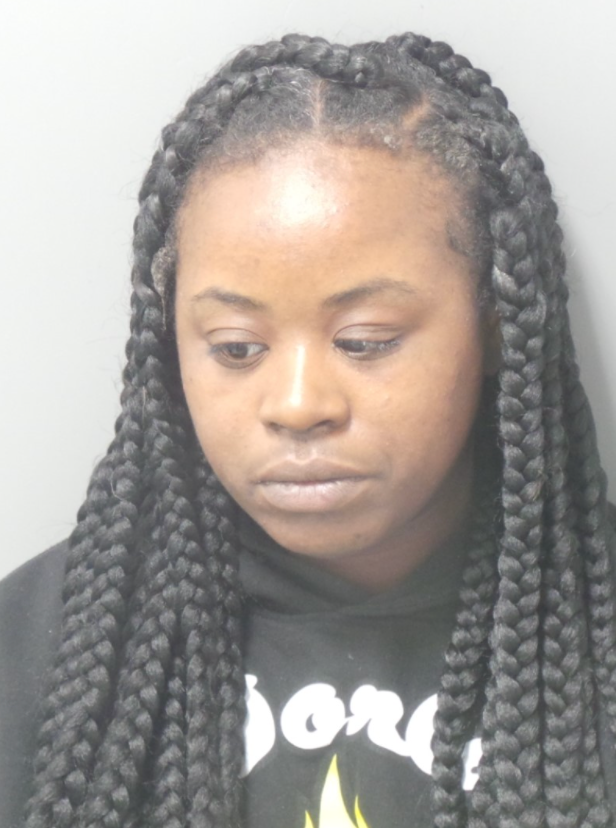 Aja Johnson, 36, was charged with child endangerment after her gun was used in a fatal accidental shooting by her nephew