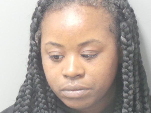 <p>Aja Johnson, 36, was charged with child endangerment after her gun was used in a fatal accidental shooting by her nephew</p>