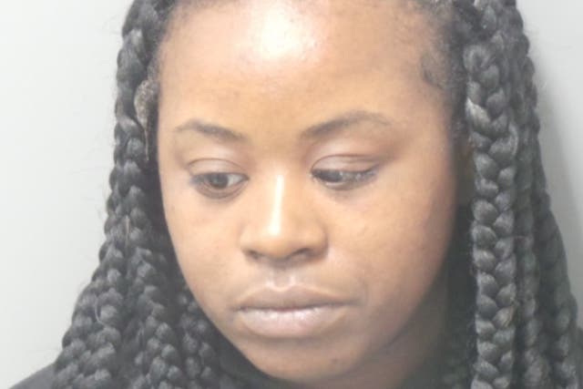 <p>Aja Johnson, 36, was charged with child endangerment after her gun was used in a fatal accidental shooting by her nephew</p>