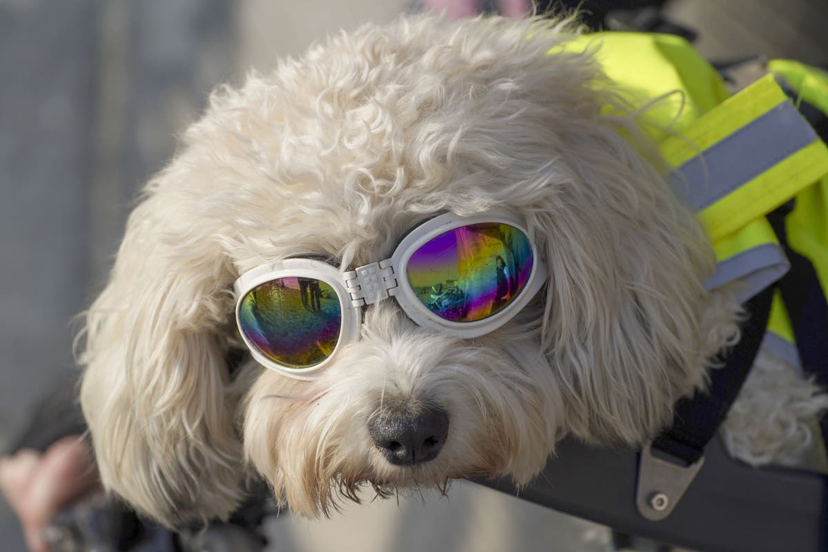 Britain basked in sunniest March in almost a century – Met Office