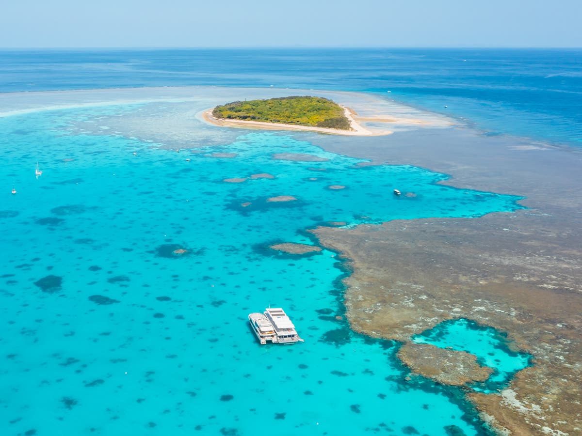 How a floating hotel on the Great Barrier Reef is protecting this delicate ecosystem