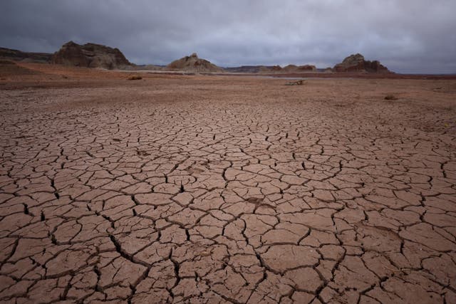<p>Dry cracked earth is visible in an area of Lake Powell that was previously underwater on March 28, 2022 in Page, Arizona</p>