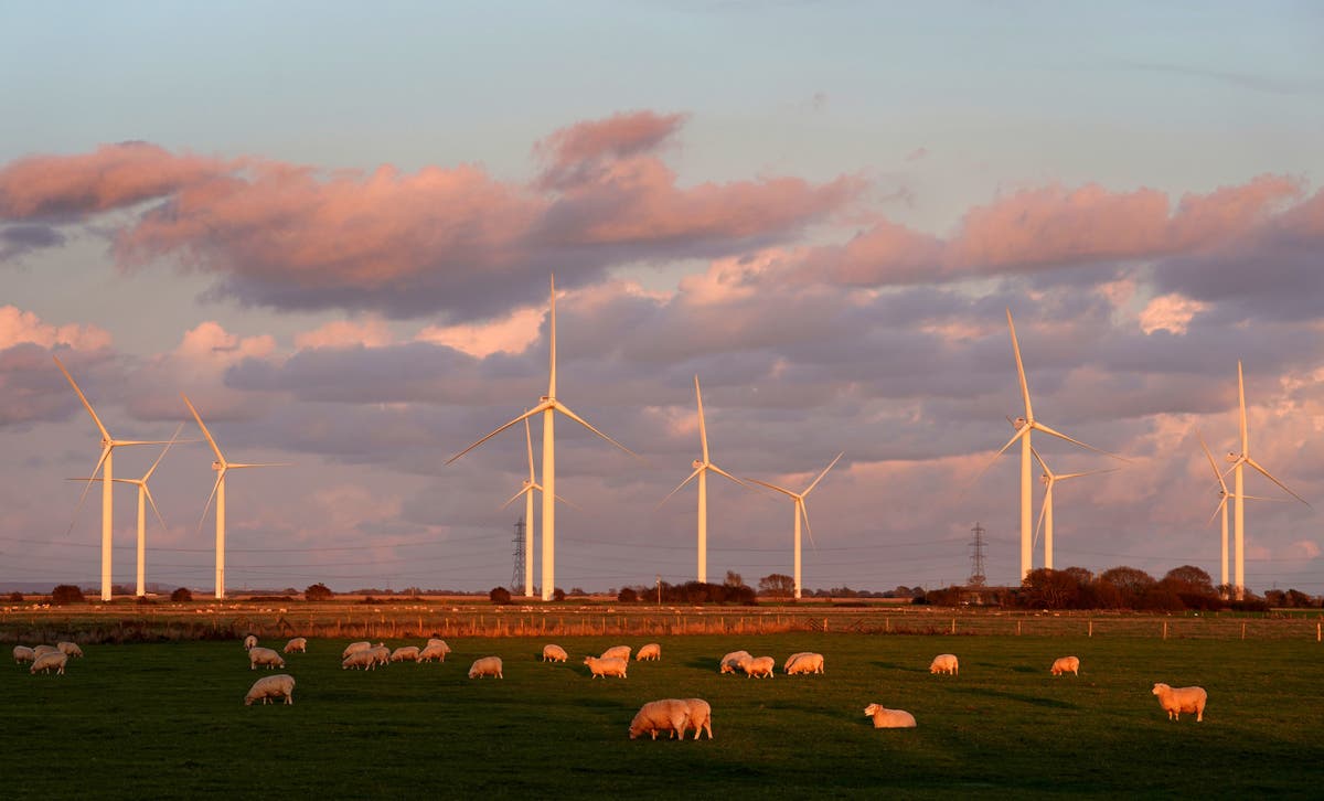 Boris Johnson to bow to pressure from Conservative MPs to block new onshore wind farms