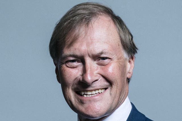 <p>The trial into the murder of MP Sir David Amess has been delayed (PA)</p>