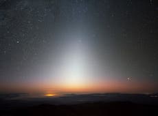 Stargazing in April: Catch the wolf’s tail this month
