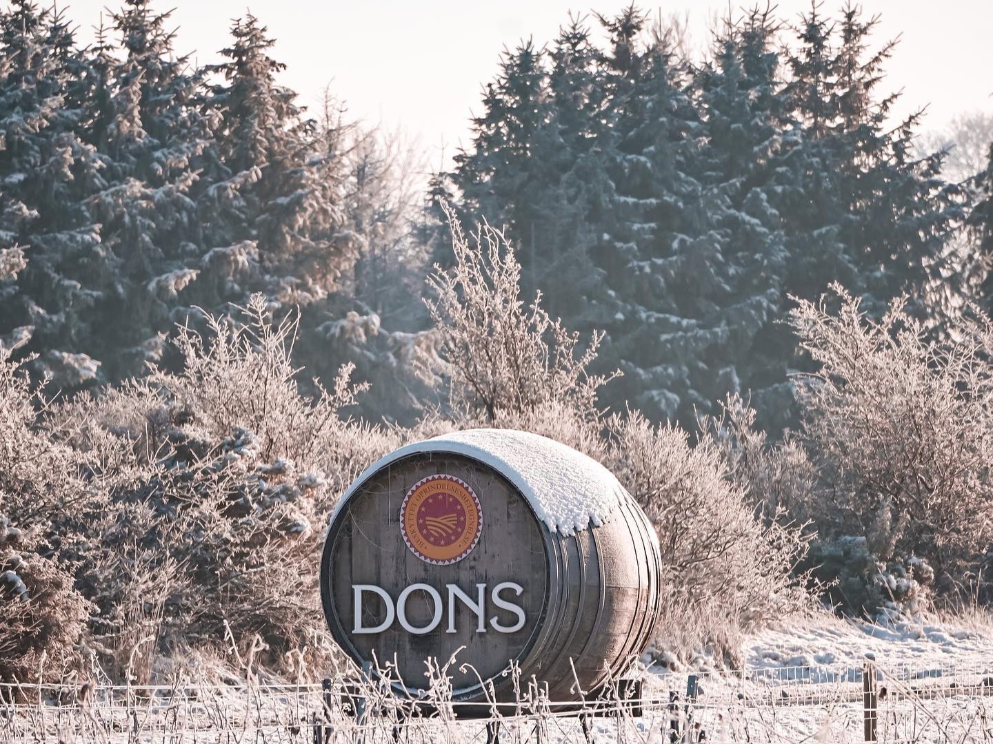 A snow covered barrel at Skaersogaard Vin, Denmark