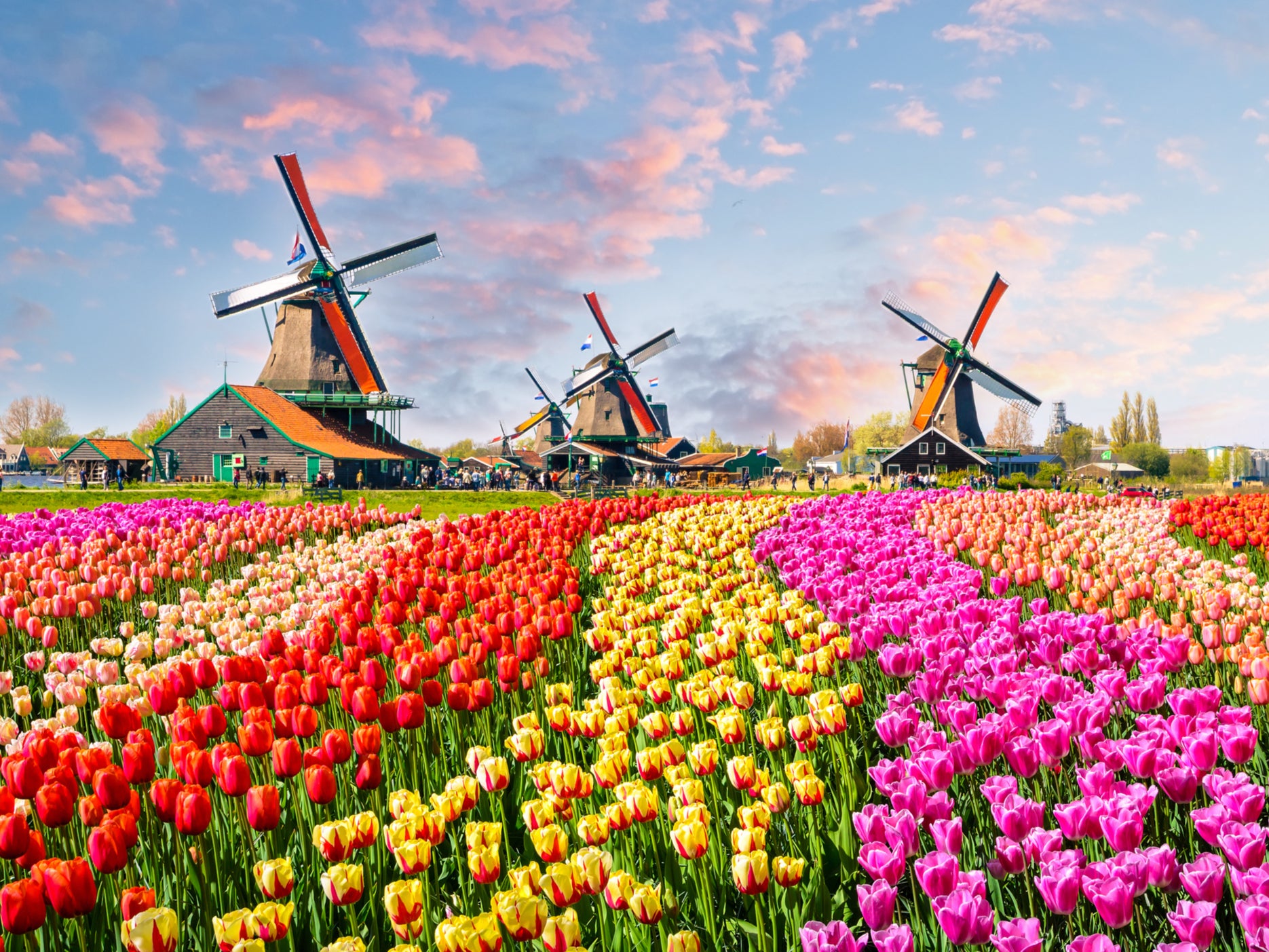 Is the Netherlands moving towards a cash-free society?