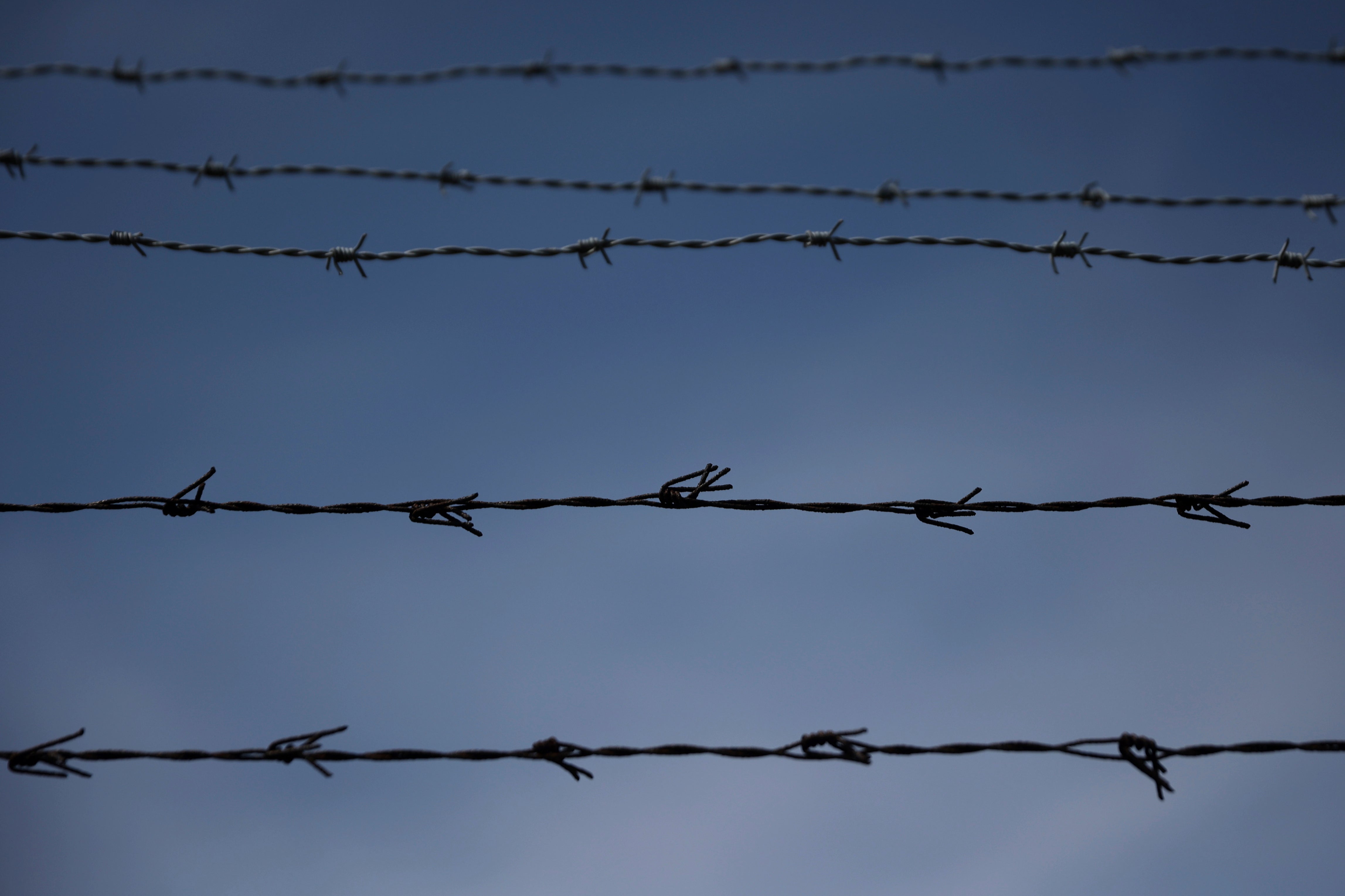 <p>Shock claims have been made about war-torn Sarajevo in the 1990s</p>