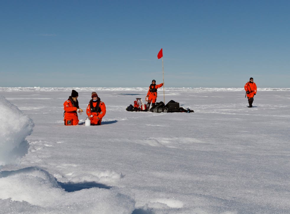 <p>Scientists from the Alfred Wegener Institute collect snow and ice samples to measure the extent of microplastic pollution</p>
