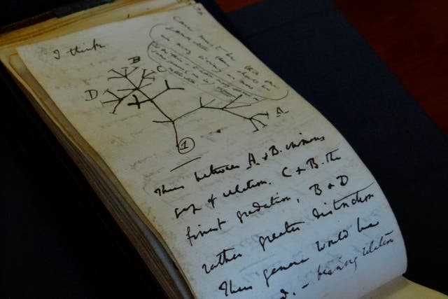 Britain Darwin's Notebooks