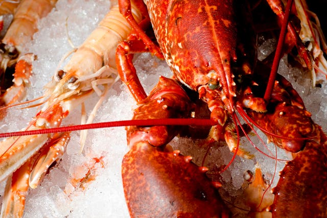 <p>Some types of lobster have joined the ‘avoid’ list</p>