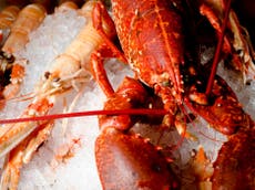 Britons urged to avoid Scottish crab and lobster as items red listed by conservation society