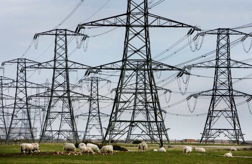 Sun shines on utility companies as FTSE outperforms peers