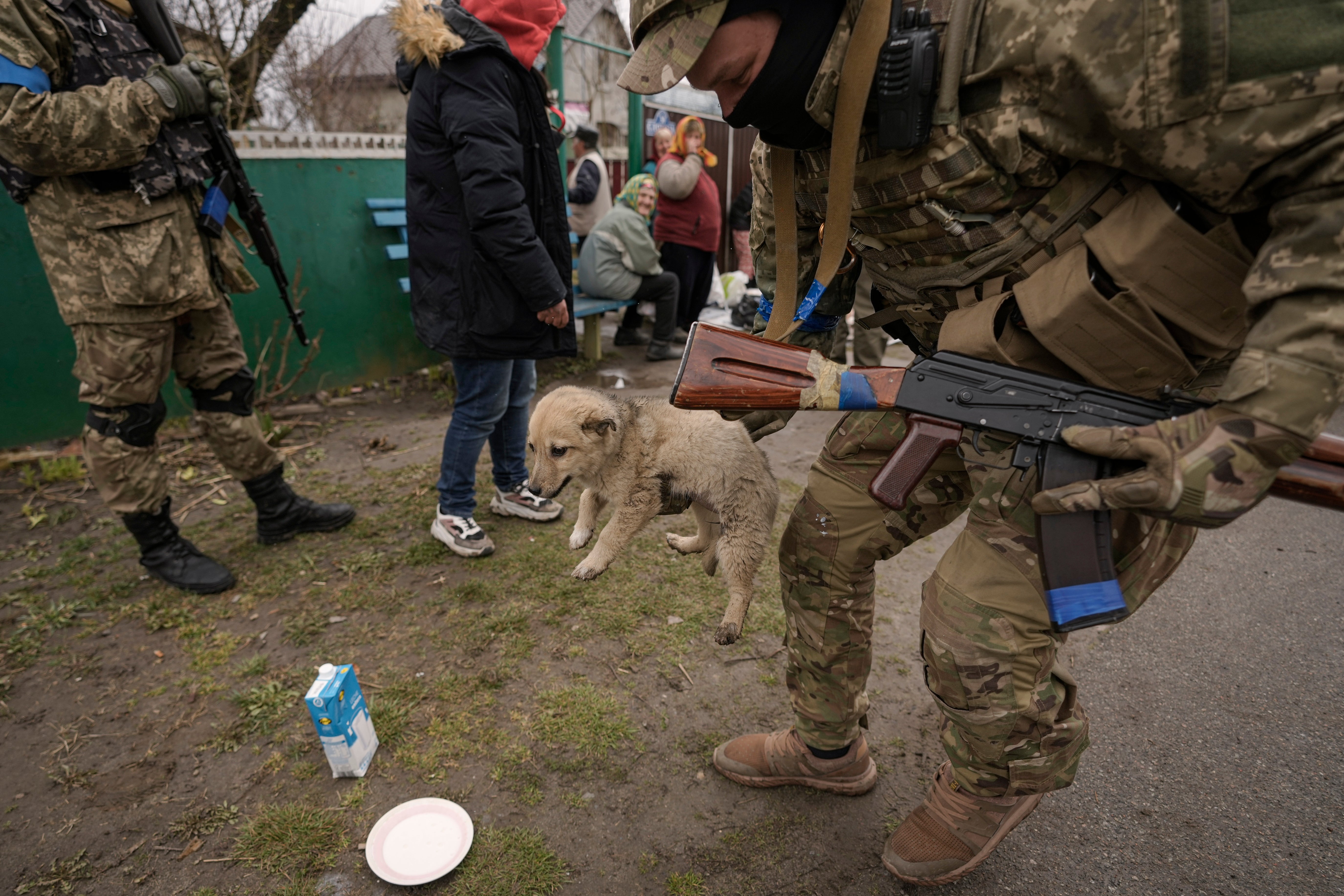 A Ukrainian serviceman tries unsuccessfully to convince a puppy to drink milk as residents wait for distribution of food products in the village of Motyzhyn