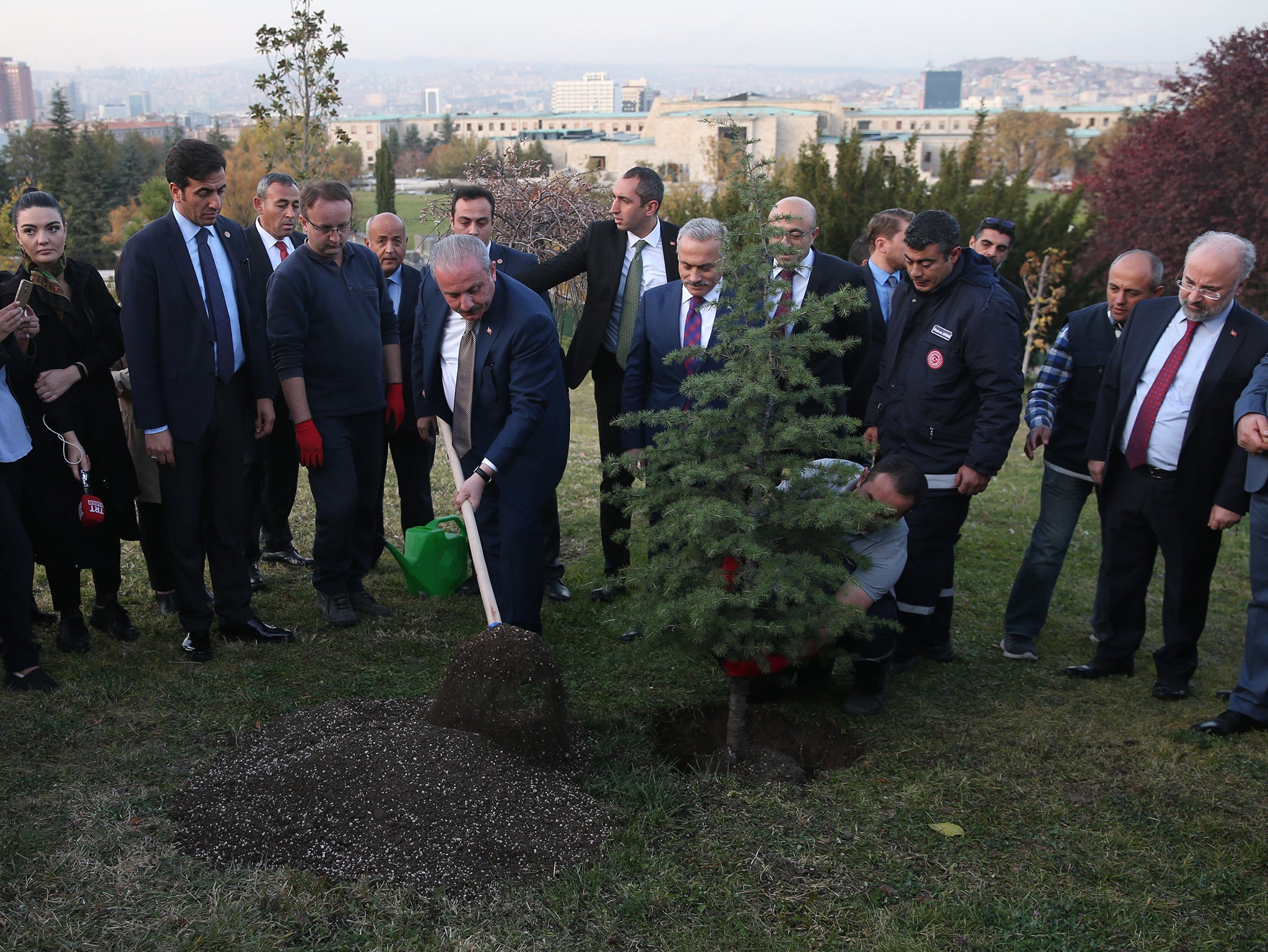 In 2019 an army of environmentally conscious Turks planted 11 million saplings at more than 2,000 sites across their country