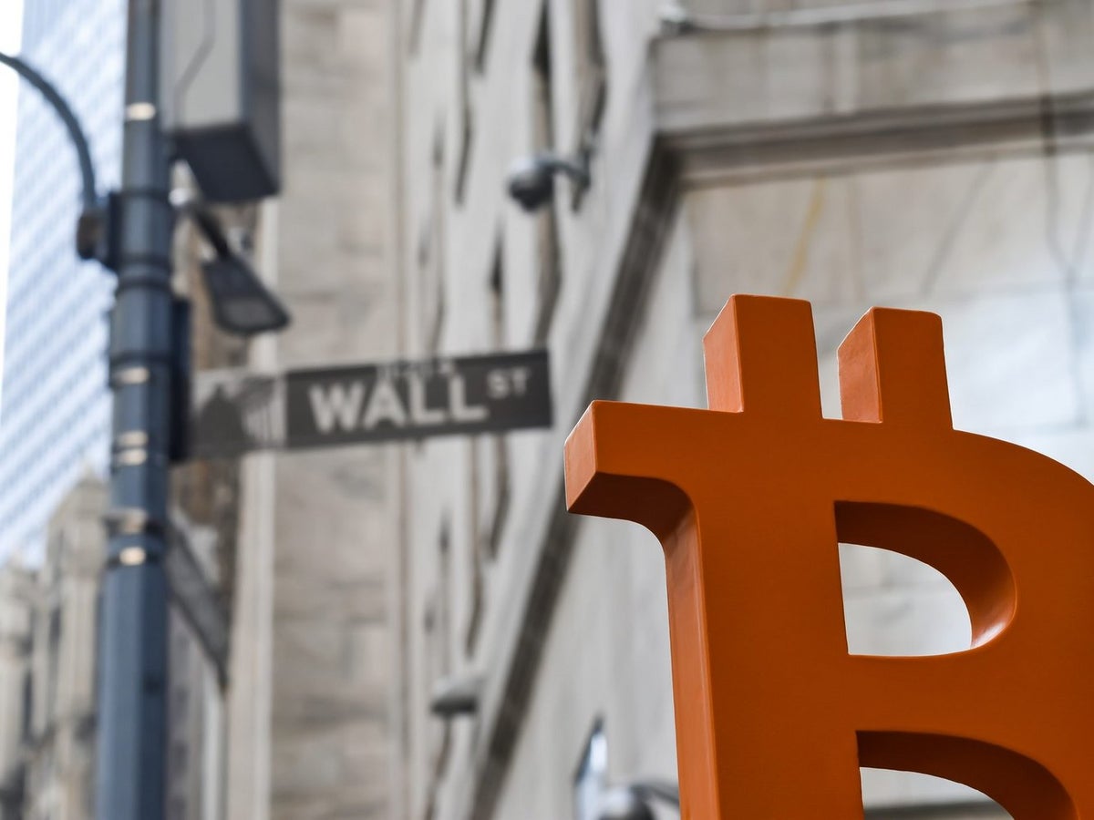 Bitcoin price passing $1 million means society has collapsed, early  investor warns | The Independent