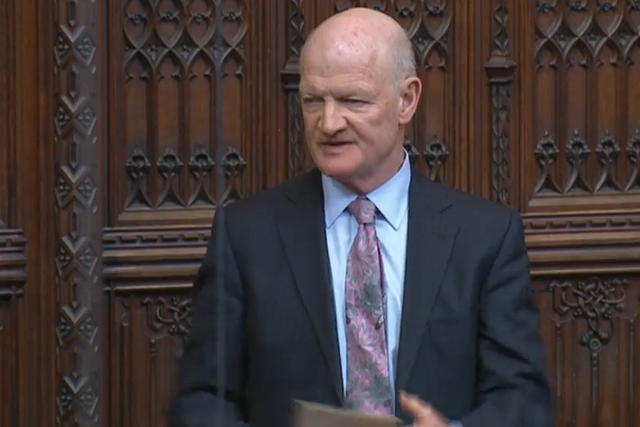 <p>Conservative peer Lord Willetts (PA)</p>