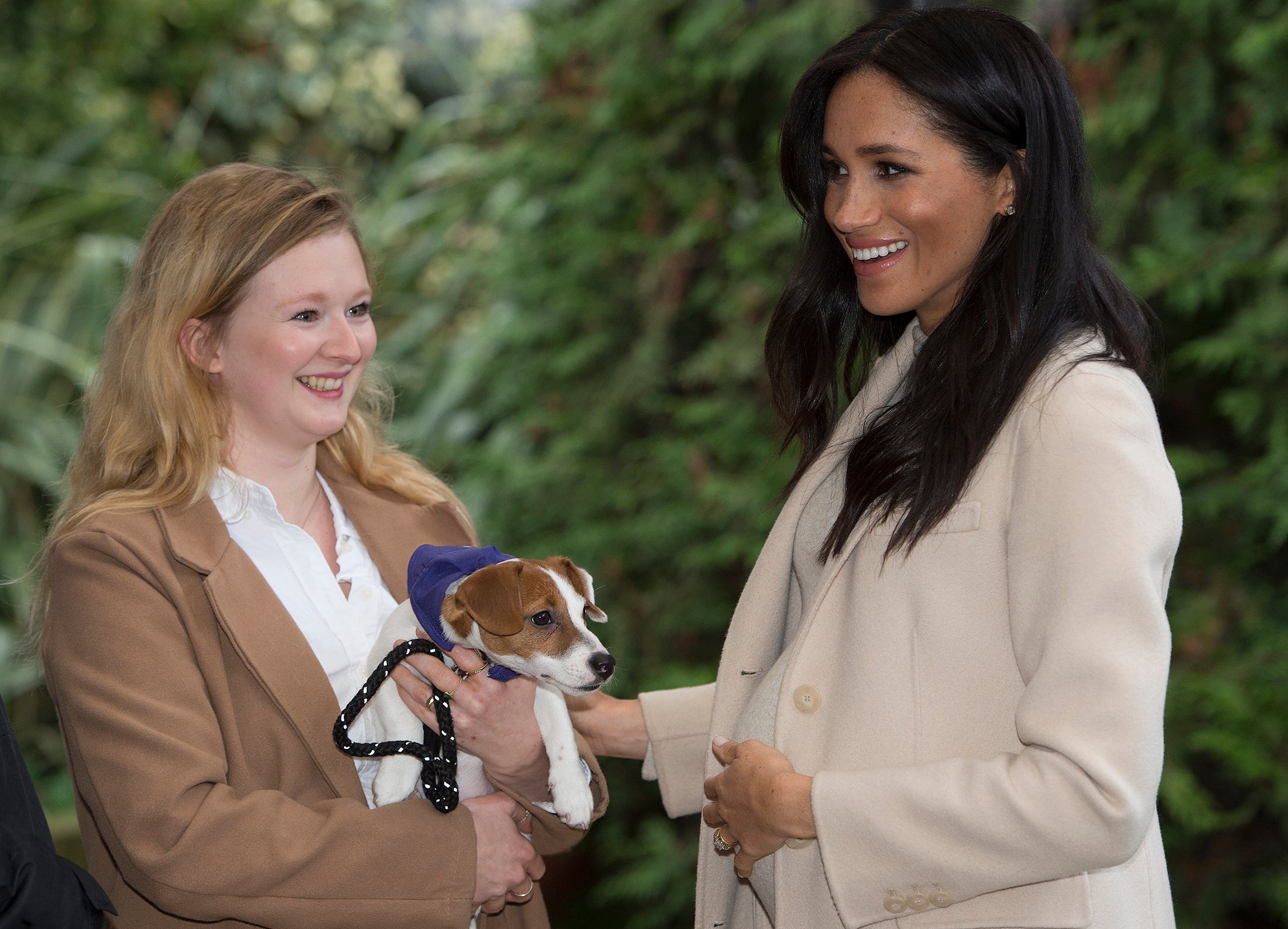 The Duchess of Sussex meets Maggi a Jack Russell during a visit to Mayhew in 2019 (Eddie Mulholland/Daily Telegraph/PA)