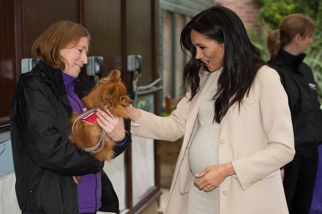 The Duchess of Sussex meets Foxy during a visit to Mayhew, an animal welfare charity she is now supporting as patron, at its offices in north-west London (Eddie Mulholland/Daily Telegraph/PA)